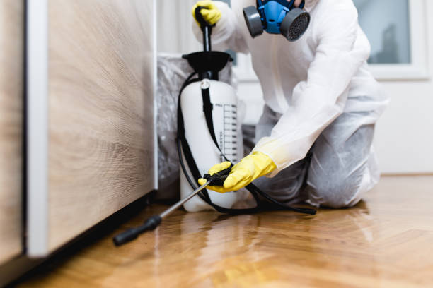Pest Control for Restaurants in Guerneville, CA