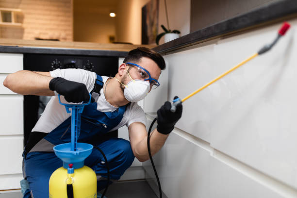 Best Wasp Removal Services  in Guerneville, CA
