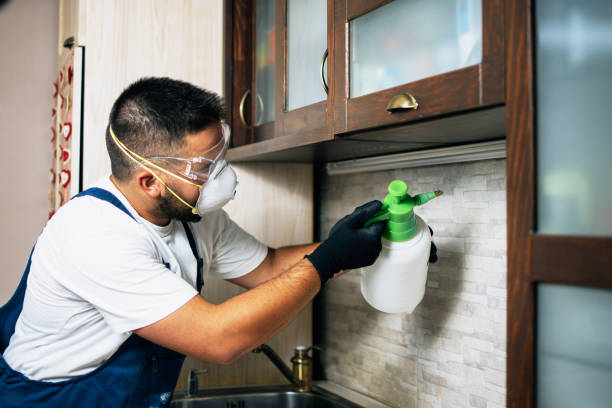 Best Termite Control Services  in Guerneville, CA