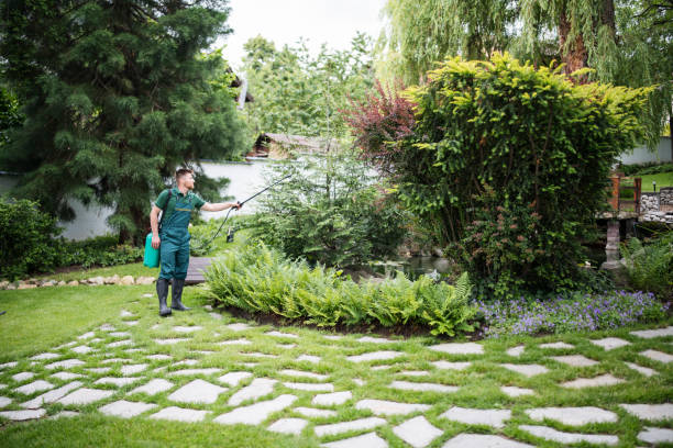 Best Flea Control Services  in Guerneville, CA