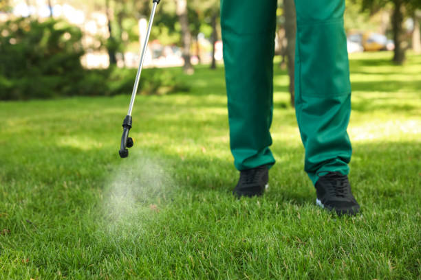Best Ant Control Services  in Guerneville, CA