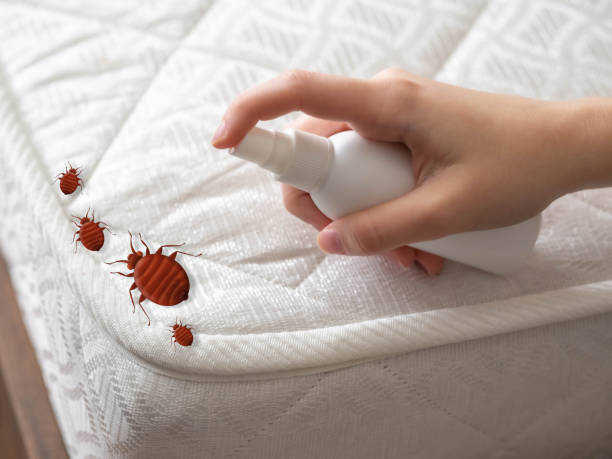 Best Best Pest Control Companies  in Guerneville, CA