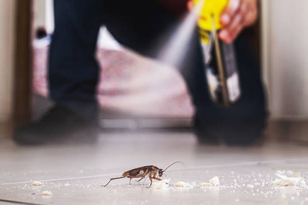 Best Residential Pest Control  in Guerneville, CA