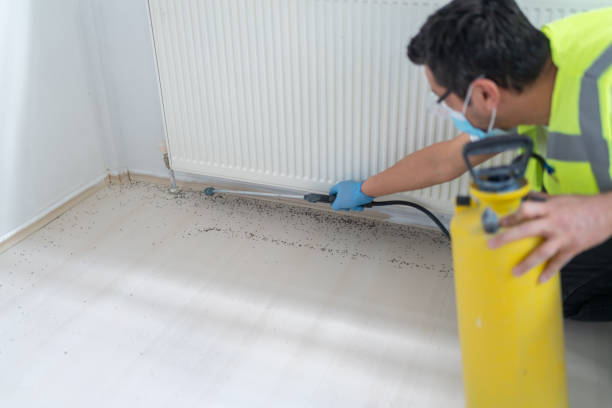 Professional Pest Control in Guerneville, CA